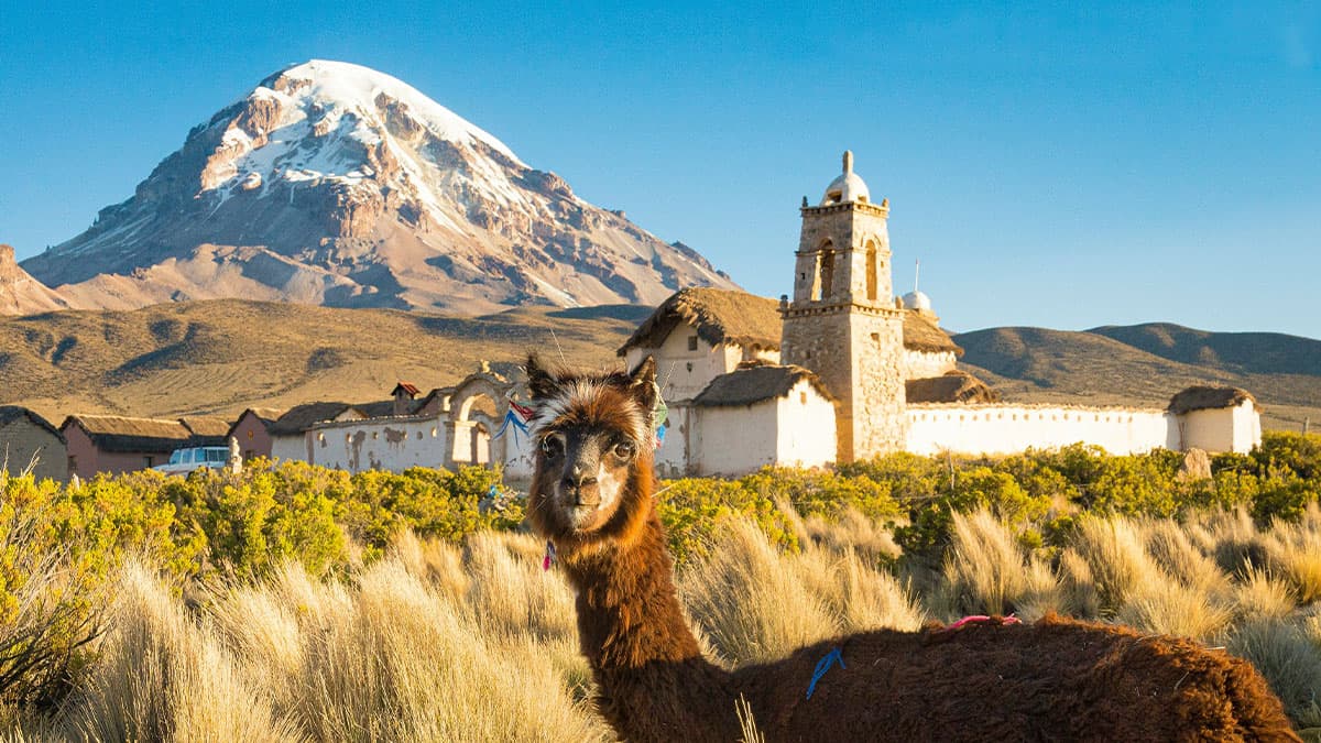 Bolívia - Expedição Vulcão Sajama