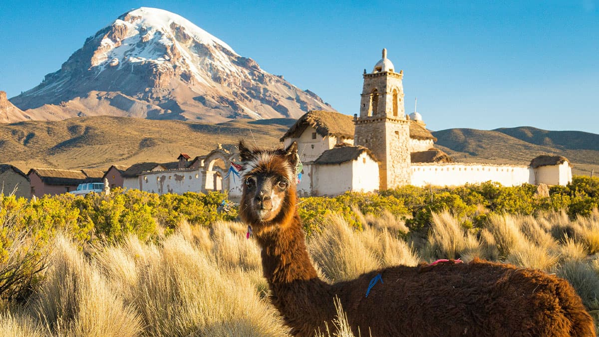 Bolívia - La Paz, Sajama e Uyuni: Aventura Andinas
