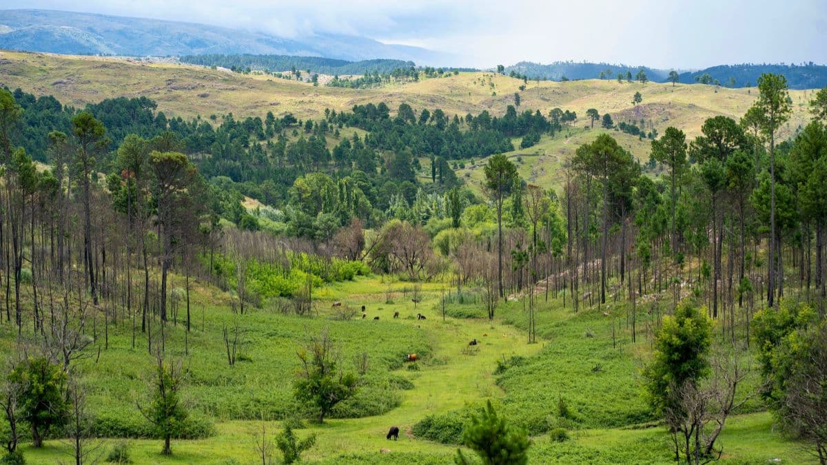 Córdoba – História e Natureza