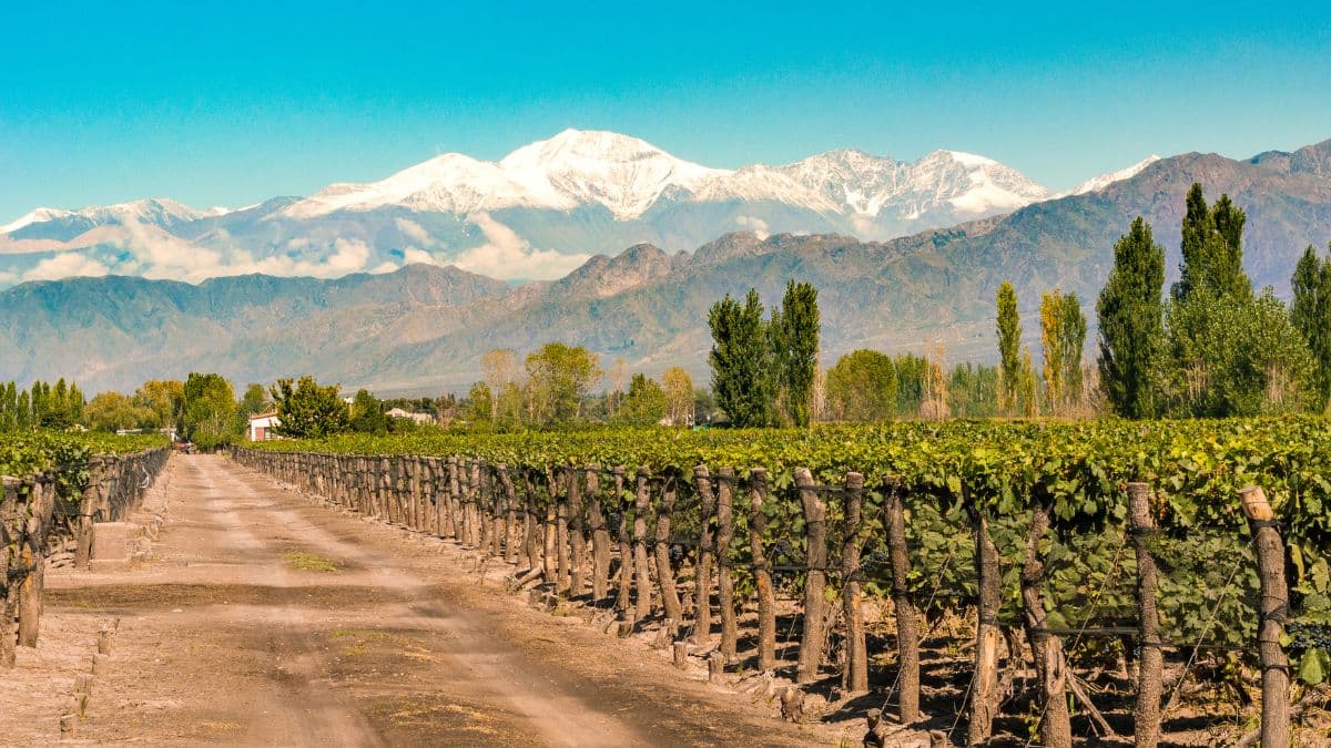 Mendoza – Vinhos e Cordilheira