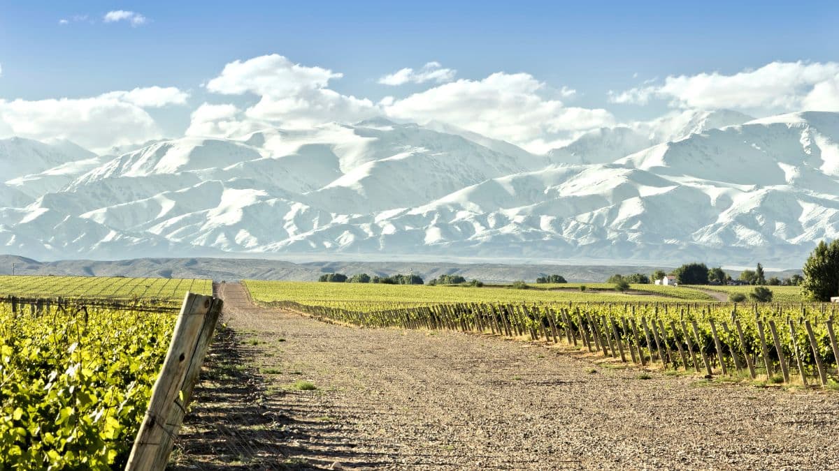 Vale do Uco – Entre Vinícolas e Luxo