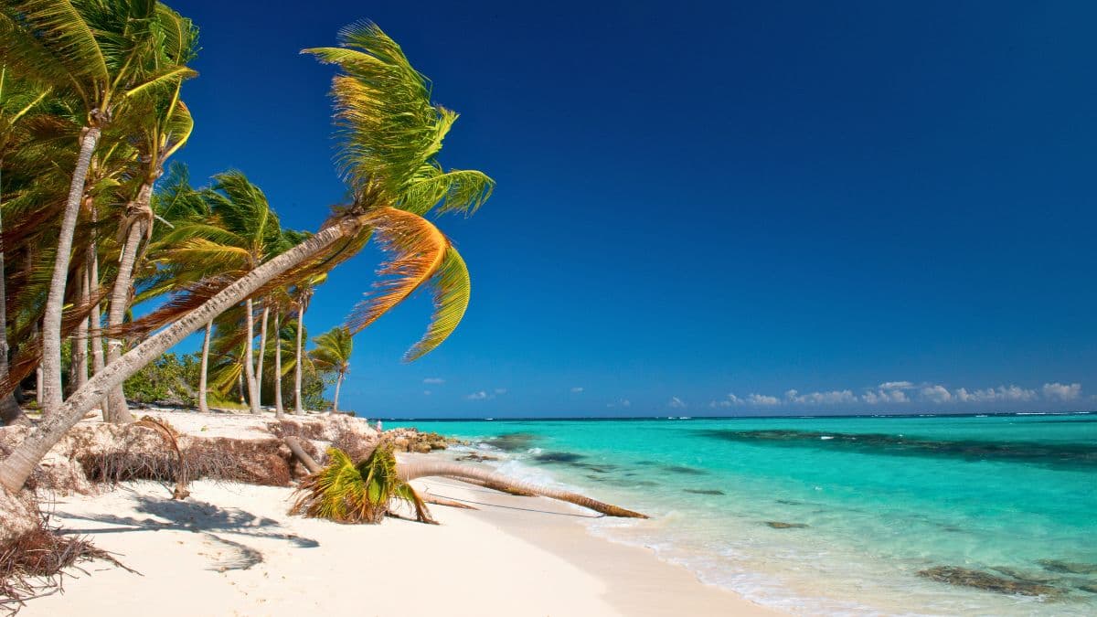 Anguilla – Praia e Cultura Vibrante - 7 Dias