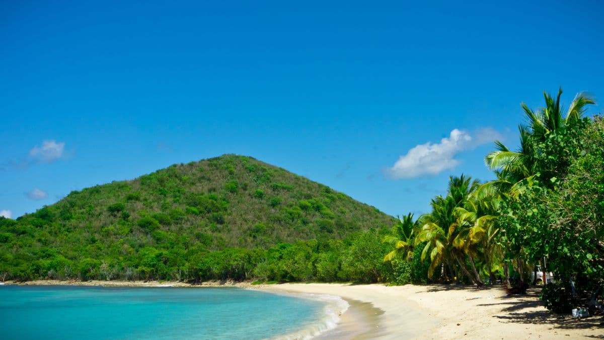 Ilhas Virgens Britânicas – Paraíso do Caribe - 8 Dias