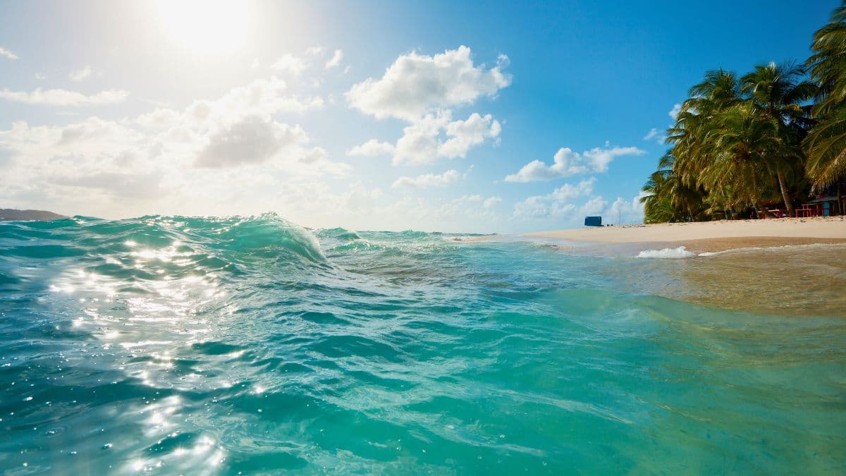 San Andrés - Ilhas e Mergulho - 3 Dias