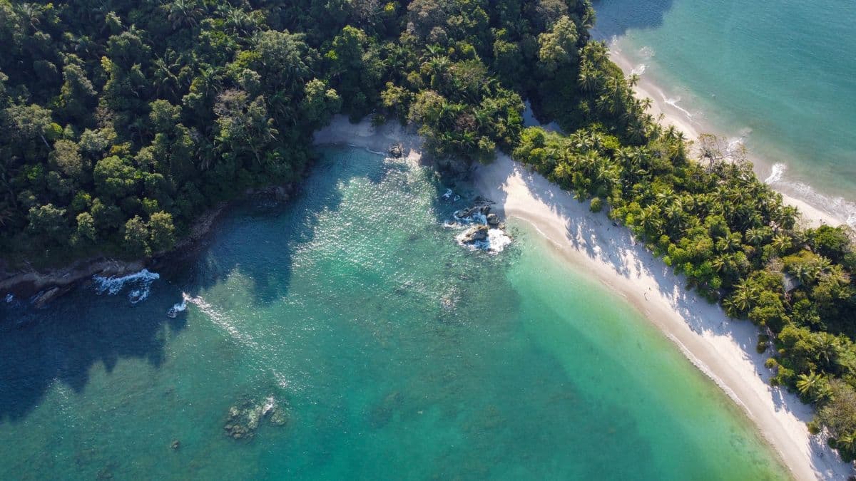 Tortuguero, Arenal e Manuel Antonio – Natureza
