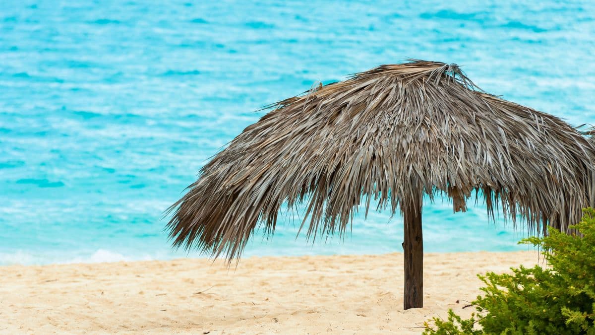 Cayo Santa Maria – Jornada All Inclusive - 5 Dias
