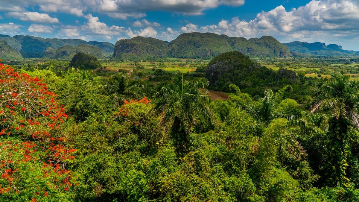 Cuba – Essência Tropical - 8 Dias