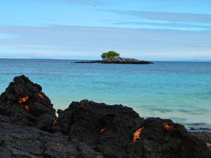 Acerca Endemic - Galápagos - 8 Dias