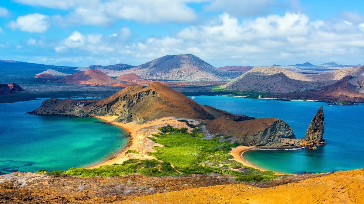 Acerca Infinity - Galápagos - 8 Dias