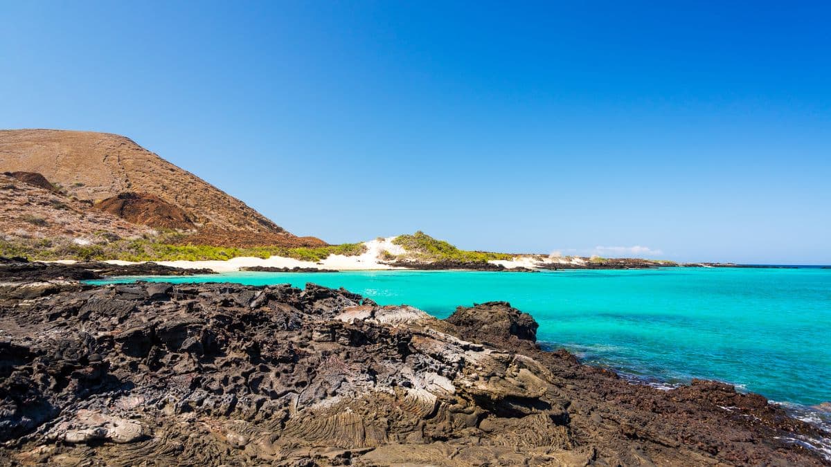 Acerca Natural Paradise - Galápagos - 8 Dias