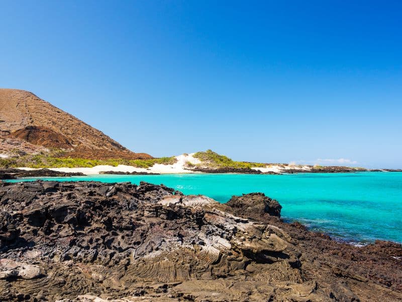 Acerca Natural Paradise - Galápagos - 8 Dias