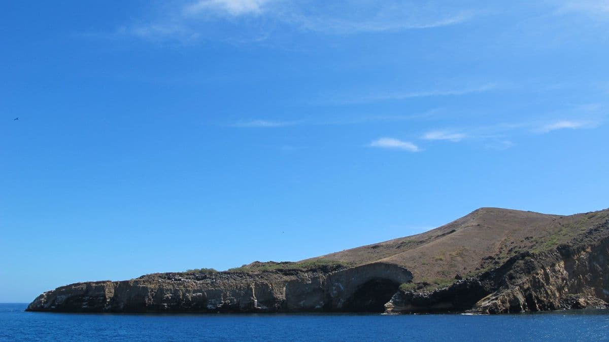 Acerca Petrel - Galápagos - 6 Dias