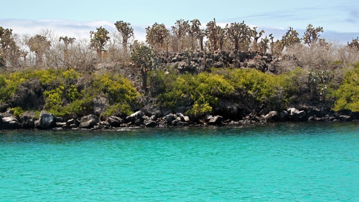 Galápagos - Exploração de Ilhas - 10 Dias
