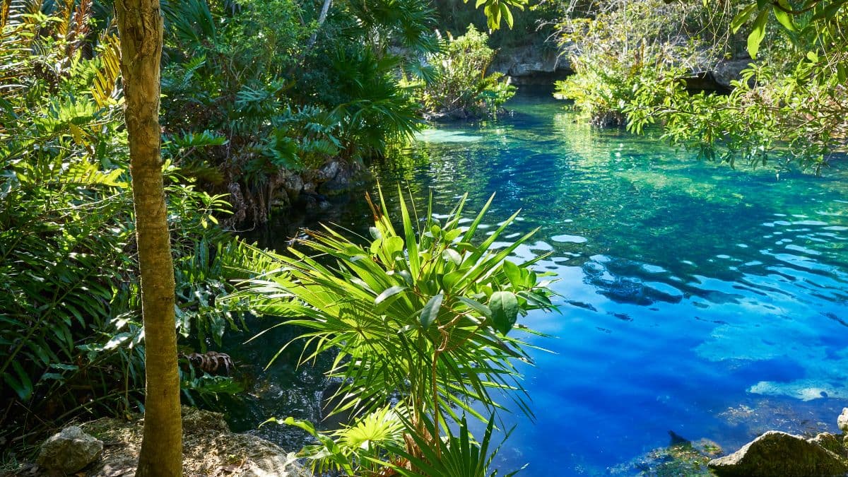 Riviera Maya – Riquezas Culturais e Exclusividade - 7 Dias