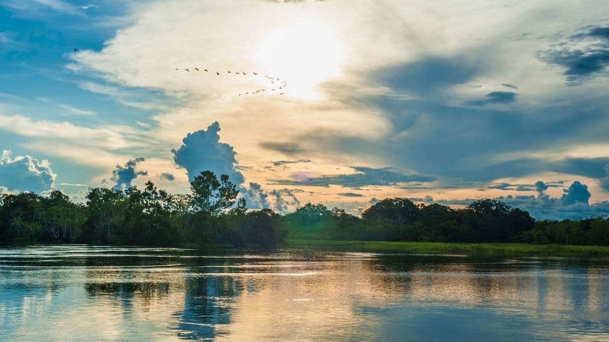 Amazônia Peruana - Aqua Expeditions - 5 Dias