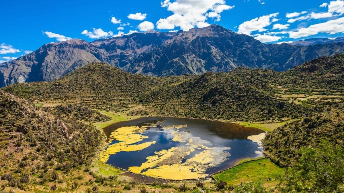 Arequipa e Vale do Colca – Encantos Andinos - 5 Dias