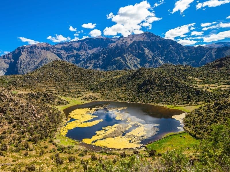 Arequipa e Vale do Colca – Encantos Andinos - 5 Dias