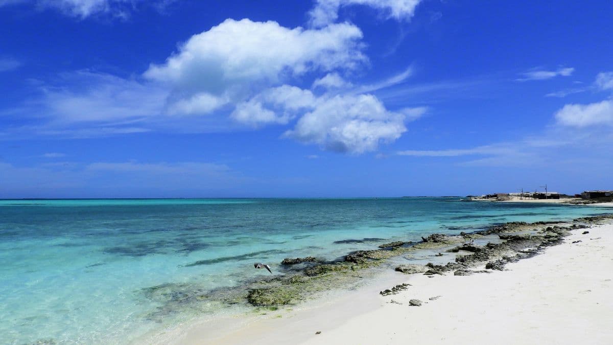 Los Roques Encantos do Caribe 8 Dias