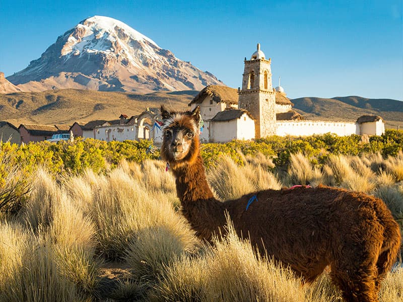 Bolívia - Expedição Vulcão Sajama