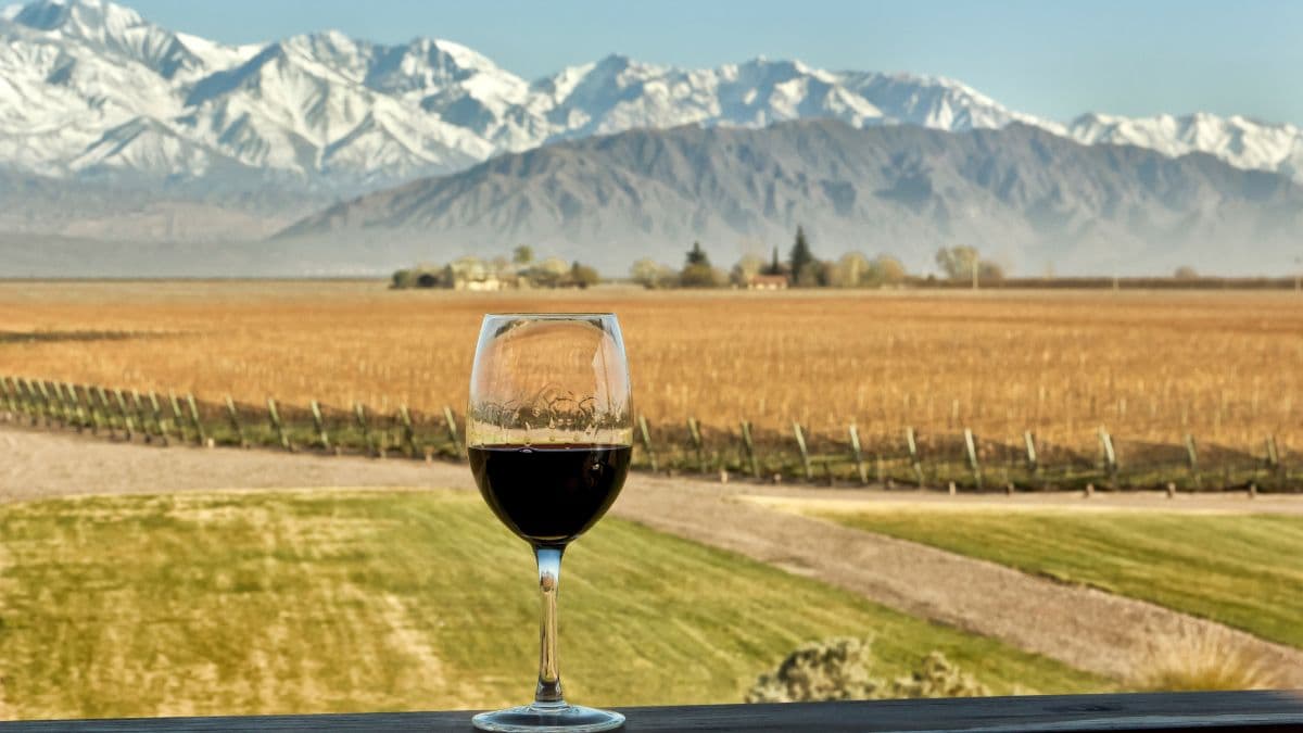 Mendoza – Vinhos, Gastronomia e Luxo