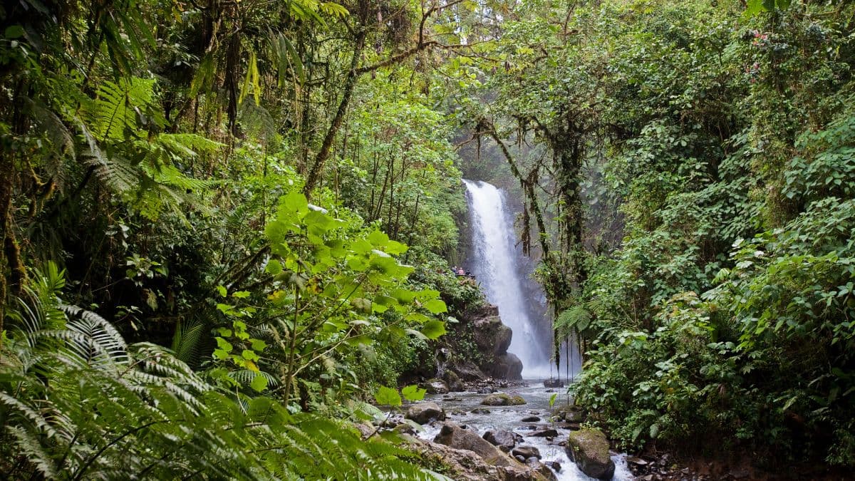 Costa Rica – Experiência Completa – 13 Dias