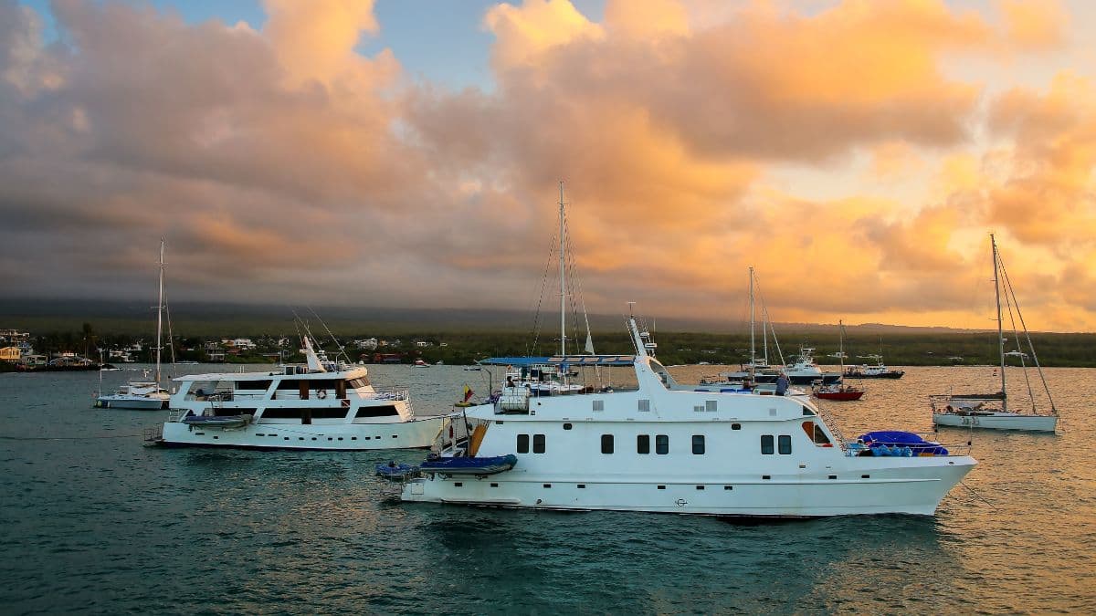 Aqua Expeditions - Ilhas do Leste de Galápagos - 8 Dias