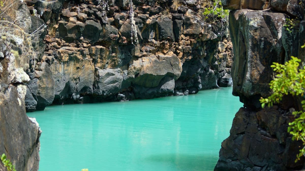 Galápagos - Terras Altas de Santa Cruz - 5 Dias
