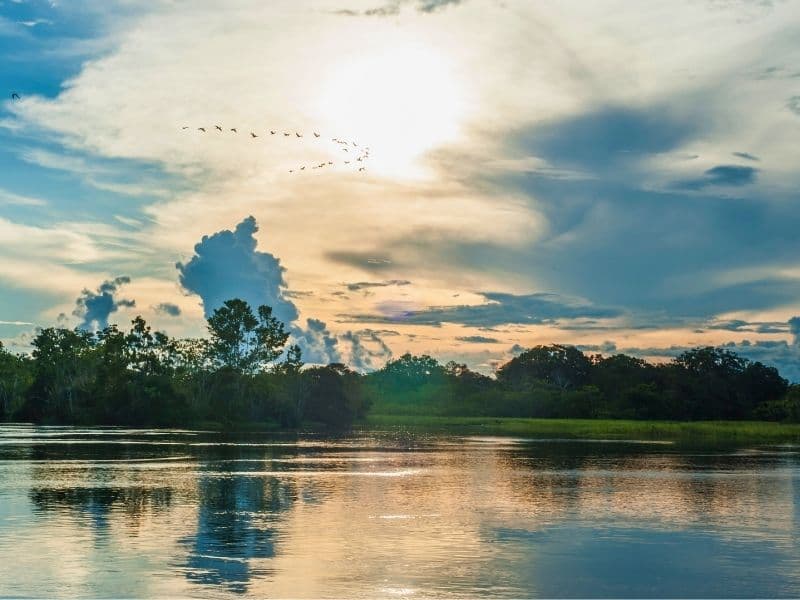 Amazônia Peruana - Aqua Expeditions - 5 Dias
