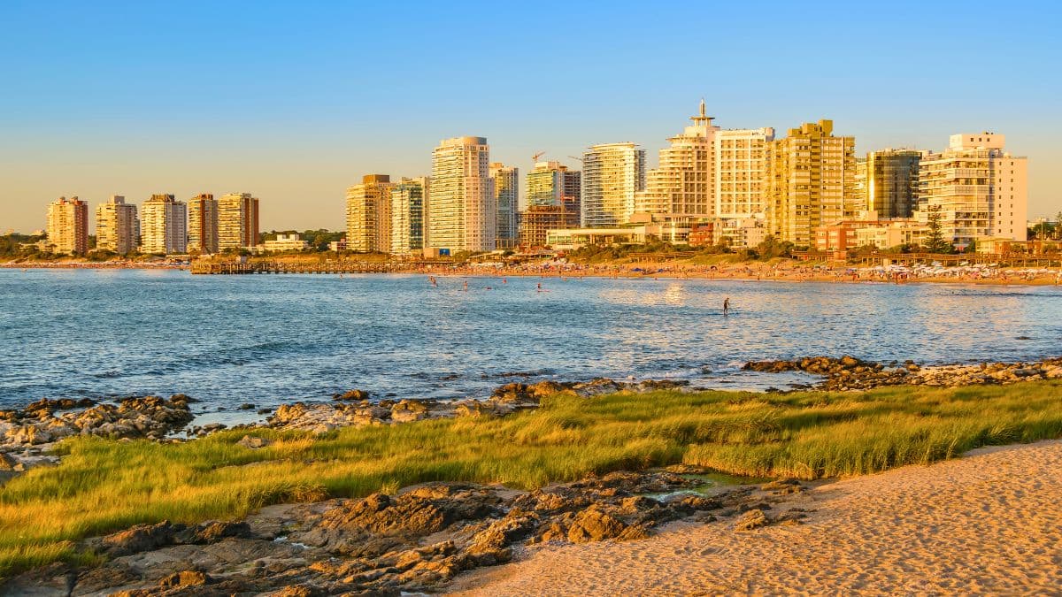 Montevidéu e Punta del Este – Vinhos e Azeite - 5 Dias